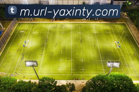 多媒体互动体验